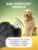 Отпугиватель собак Luazon LRI-09, ультразвуковой, питание от батарейки «Крона»