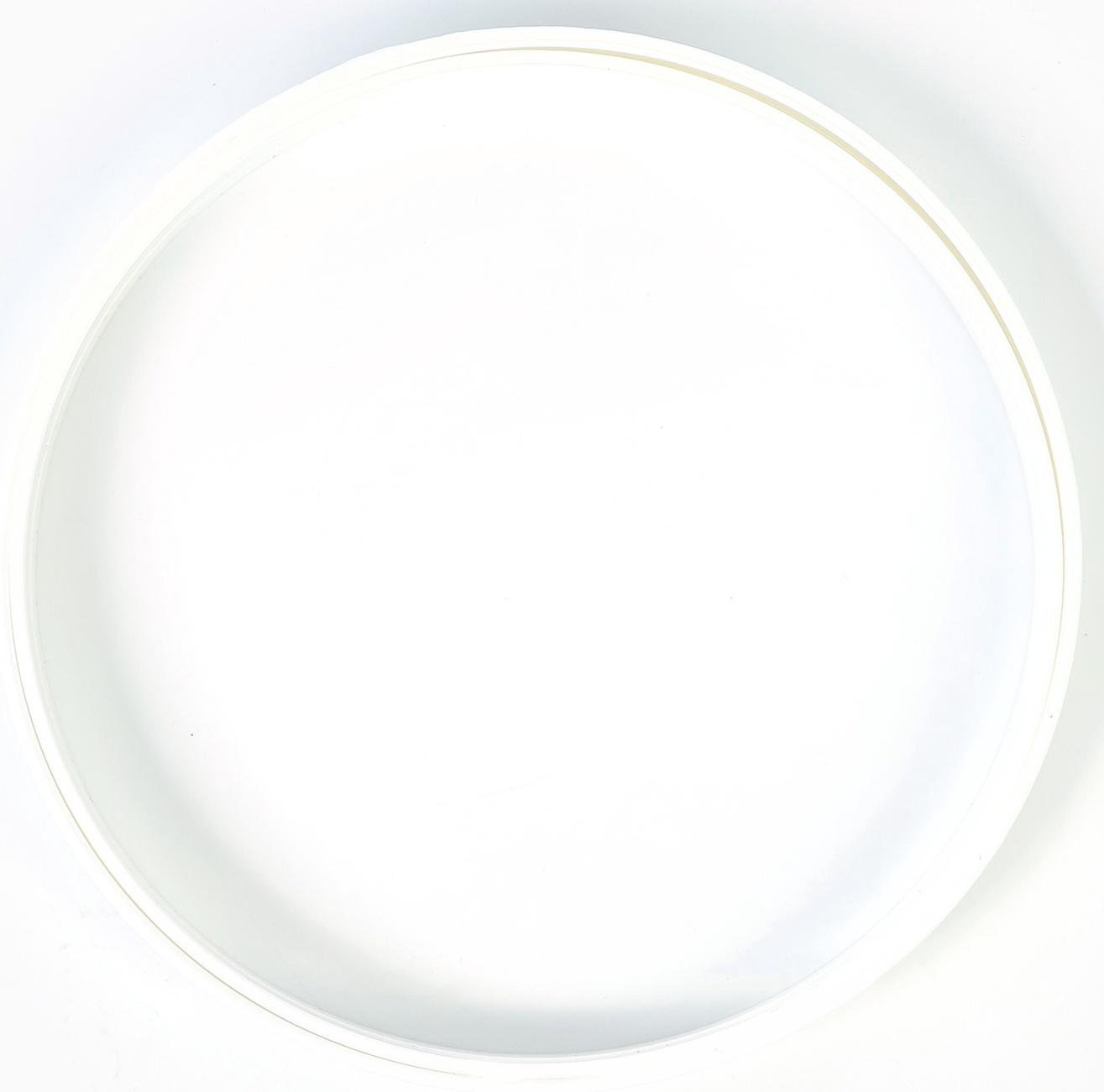 Набор для творчества. Вышивка на холсте «Весёлая компания»