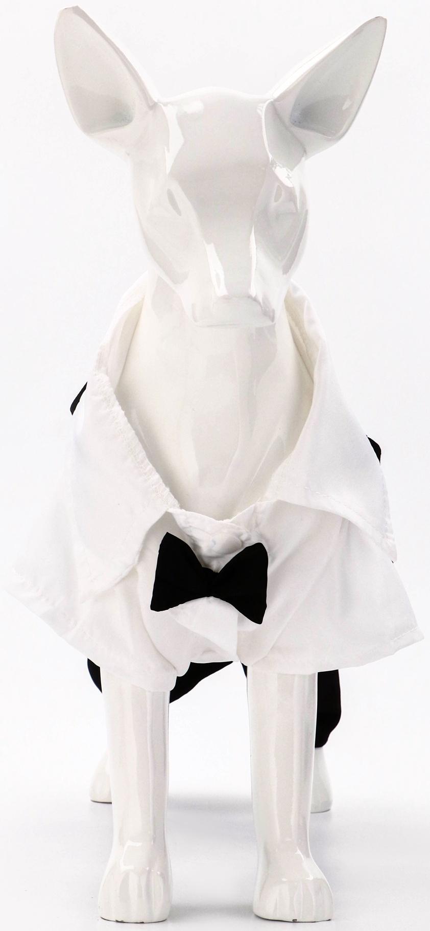 Костюм для животных «Джентельмен», размер S (ДС 25, ОГ 35 см)