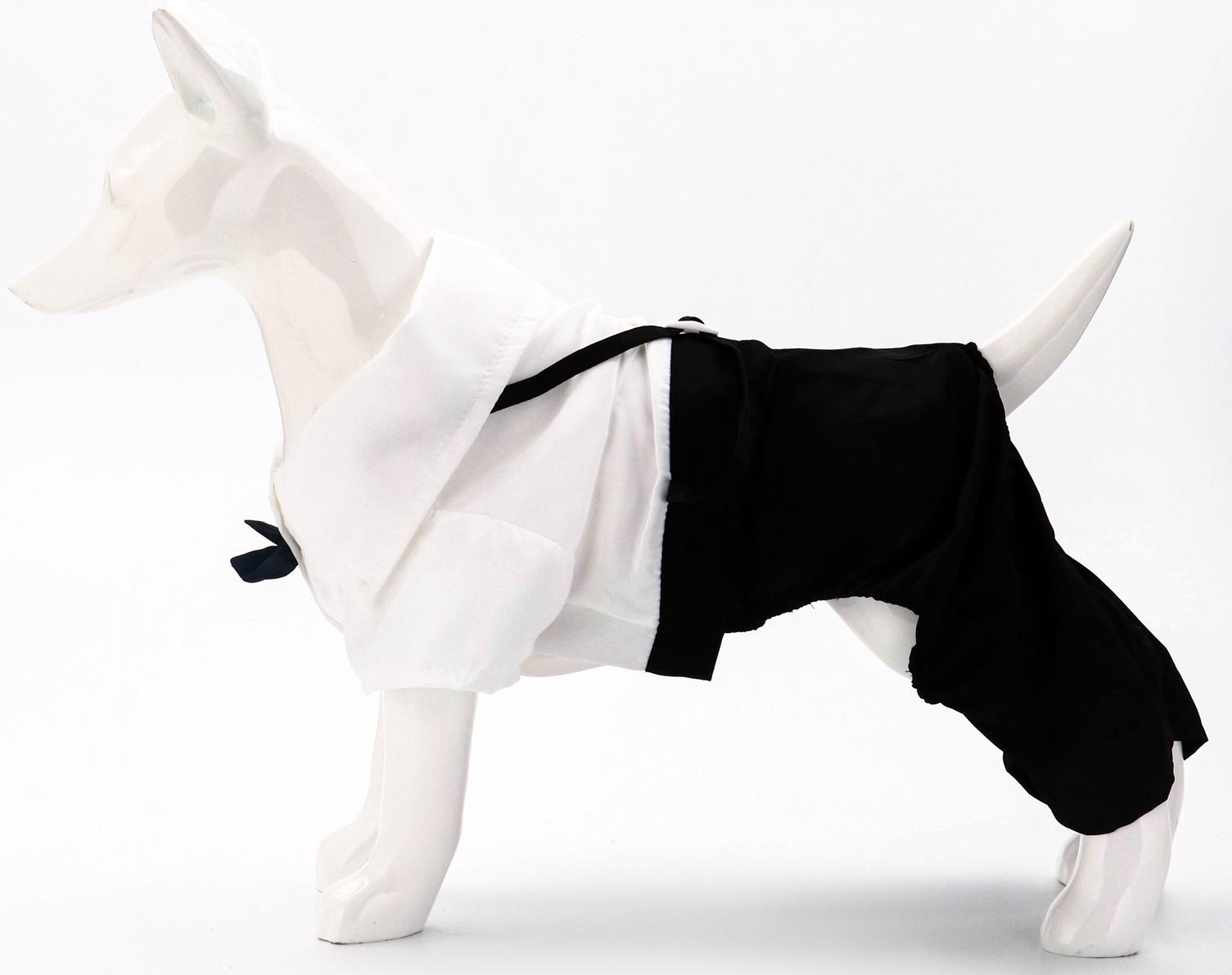 Костюм для животных «Джентельмен», размер S (ДС 25, ОГ 35 см)