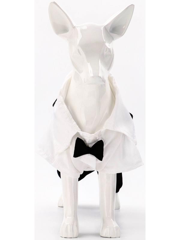 Костюм для животных «Джентельмен», размер S (ДС 25, ОГ 35 см)