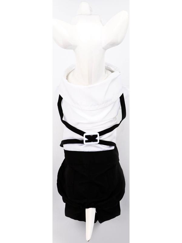 Костюм для животных «Джентельмен», размер S (ДС 25, ОГ 35 см)