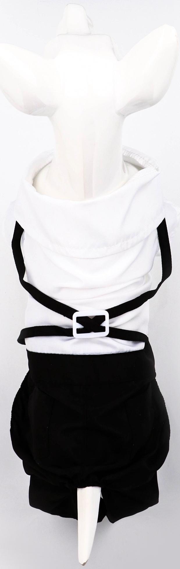 Костюм для животных «Джентельмен», размер M (ДС 30, ОГ 40 см)