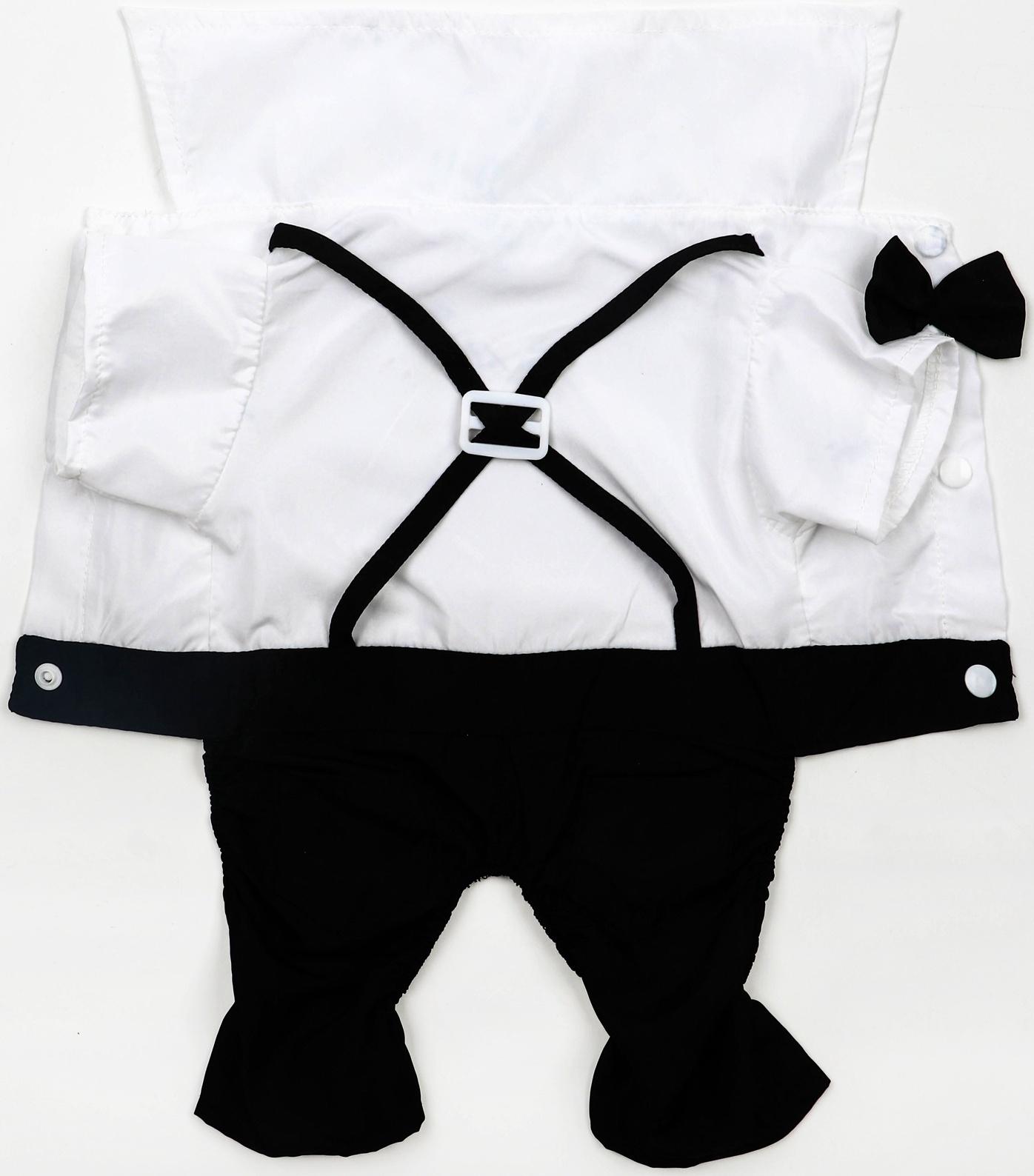 Костюм для животных «Джентельмен», размер M (ДС 30, ОГ 40 см)