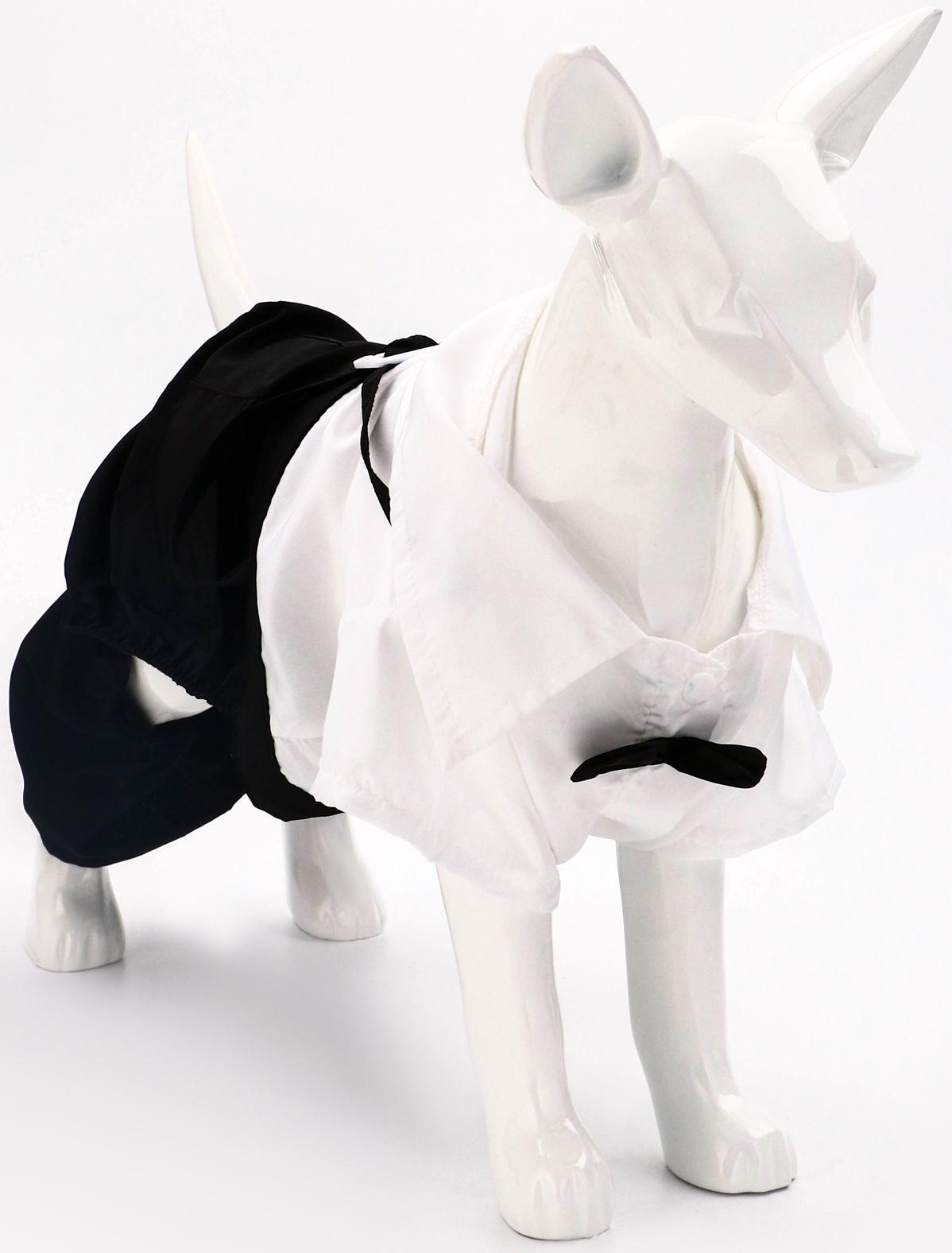 Костюм для животных «Джентельмен», размер 2XL (ДС 45, ОГ 55 см)