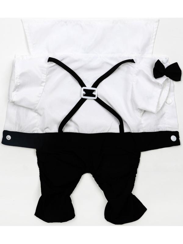 Костюм для животных «Джентельмен», размер 2XL (ДС 45, ОГ 55 см)