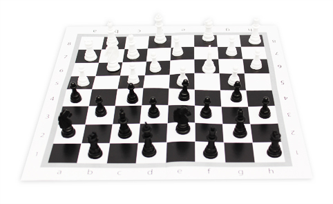 Настольная игра Рыжий кот Шахматы настольные классические + поле 28,5х28,5 см