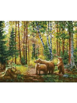 Набор для творчества Белоснежка картина по номерам на холсте Хранители леса 30 на 40 см