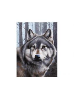 Набор для творчества Белоснежка картина по номерам на холсте Волк 30 на 40 см