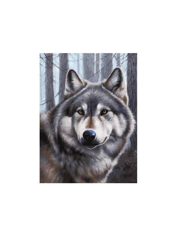 Набор для творчества Белоснежка картина по номерам на холсте Волк 30 на 40 см
