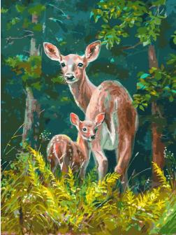Набор для творчества Белоснежка Картина по номерам на холсте Пятнистые олени 30*40 см