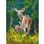 Набор для творчества Белоснежка Картина по номерам на холсте Пятнистые олени 30*40 см