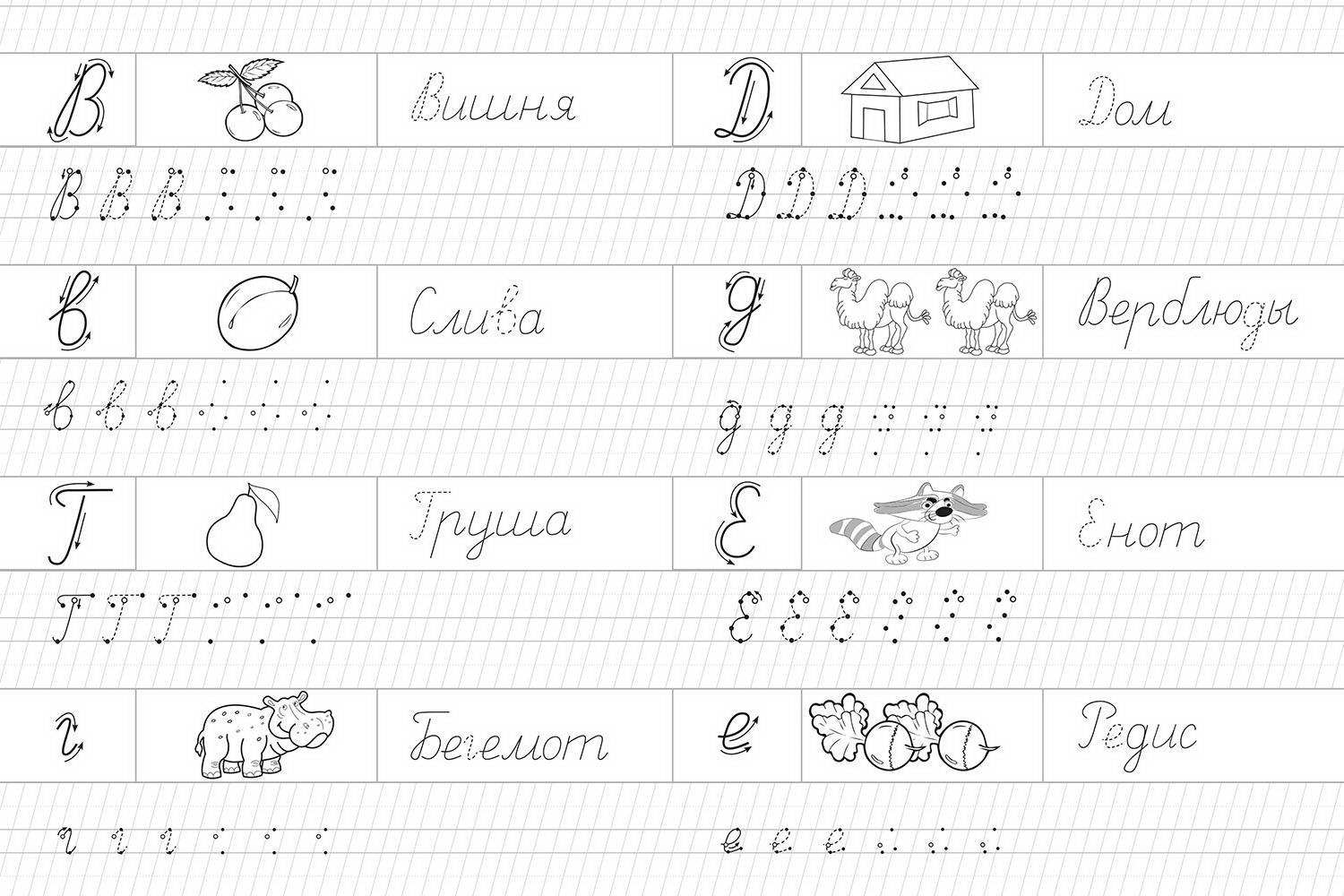 Прописи. Тетрадь с прописями. Айфолика. Прописные буквы с опорными точками