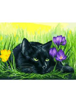 Набор для творчества Белоснежка картина по номерам на картоне Кот и крокусы 30 на 40 см