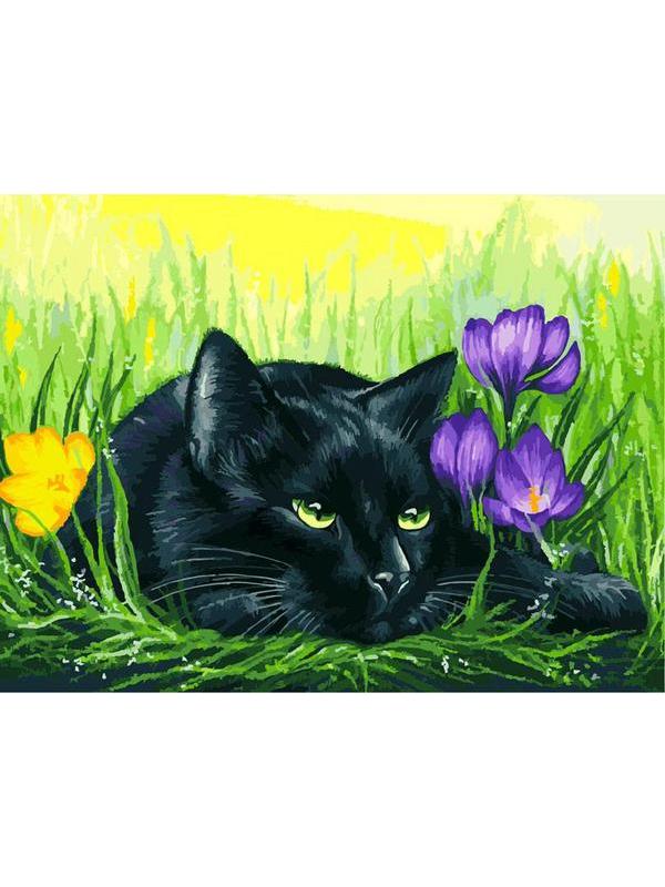 Набор для творчества Белоснежка картина по номерам на картоне Кот и крокусы 30 на 40 см