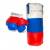 Боксерский набор Россия средний