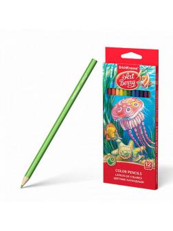 Карандаши цветные ErichKrause 12 цветов