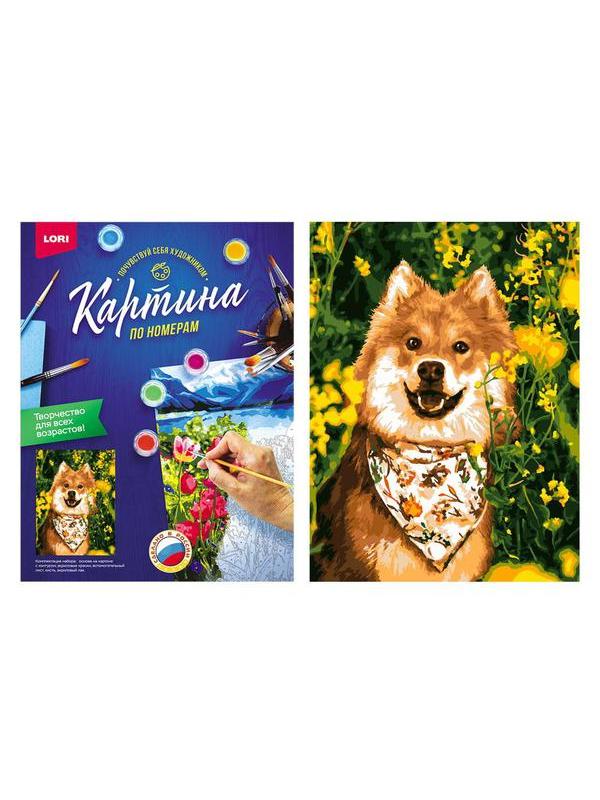 Набор для творчества LORI раскраска по номерам Шалун