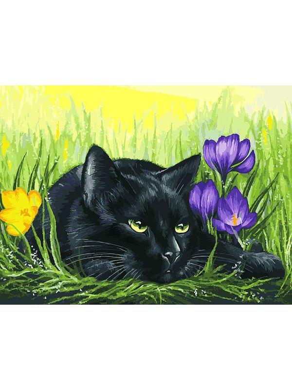 Набор для творчества Белоснежка картина по номерам на холсте Кот и крокусы 30 на 40 см