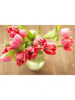 Холст с красками 40х50 см по номерам. БУКЕТ РОЗОВЫХ ТЮЛЬПАНОВ