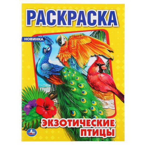 Раскраска УМка Экзотические птицы формат А4