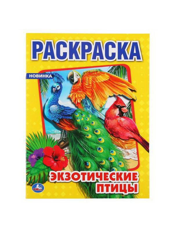 Раскраска УМка Экзотические птицы формат А4