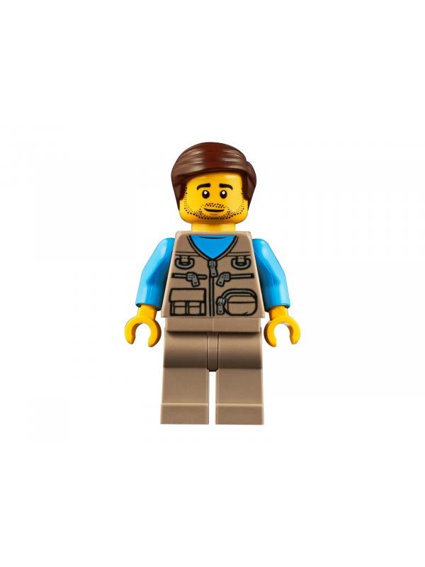 Конструктор LEGO Creator 3в1 «Отпуск в доме на колесах» 31108 / 766 деталей