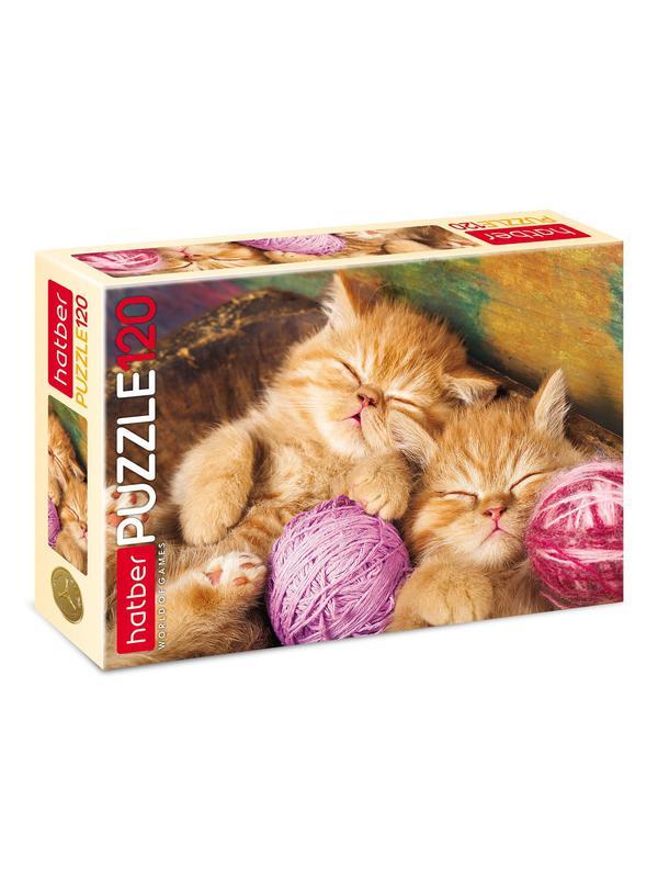 Пазл Hatber Сони Засони 120 элементов А5 формат 230Х165мм