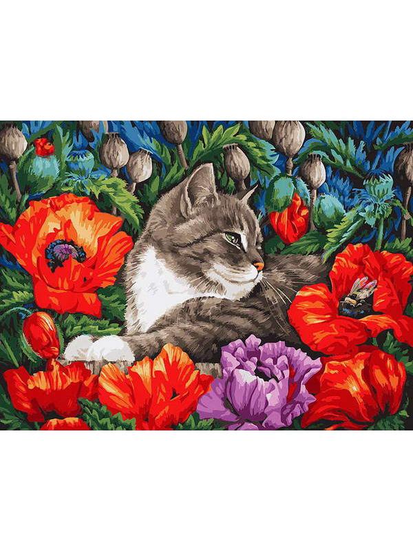 Набор для творчества Белоснежка картина по номерам на холсте Кот в маках 30 на 40 см