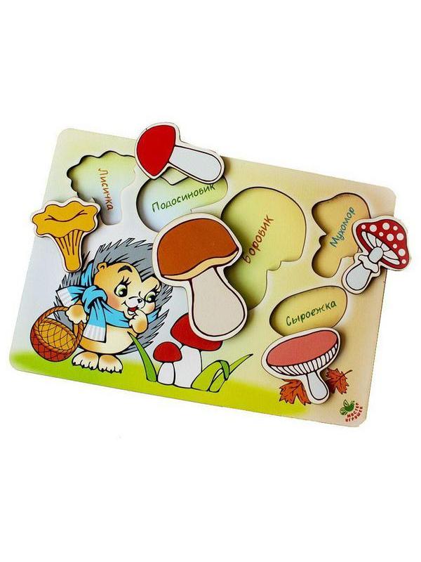 Развивающая игрушка Мастер Игрушек Рамка-вкладка Учим Грибы