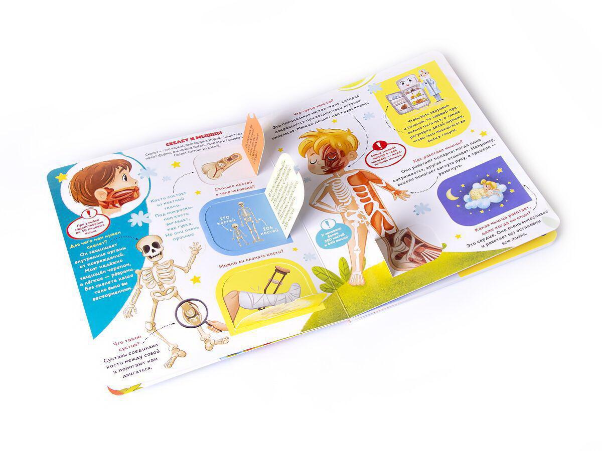 Книжка с окошками. Как устроен человек?