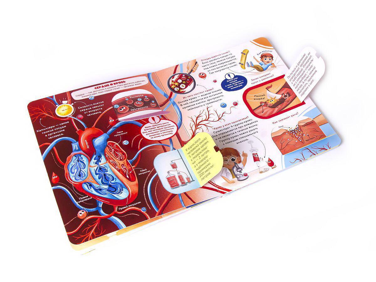 Книжка с окошками. Как устроен человек?