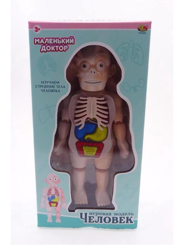 Игровой набор ABtoys Маленький доктор Изучаем строение человека