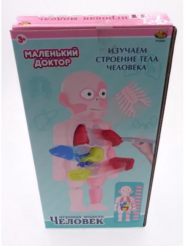 Игровой набор ABtoys Маленький доктор Изучаем строение человека