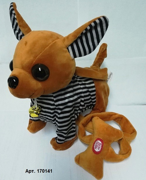 Собачка Чихуа- хуа  ходит, с русской озвучкой на поводке (детские песенки) 25см