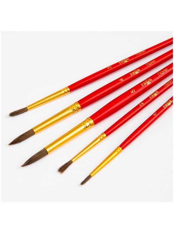 Кисти Гамма Классические набор 5шт., пони, круглые 1,2,3,4,5