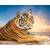 Роспись по холсту Тигр на закате, 30х40 см