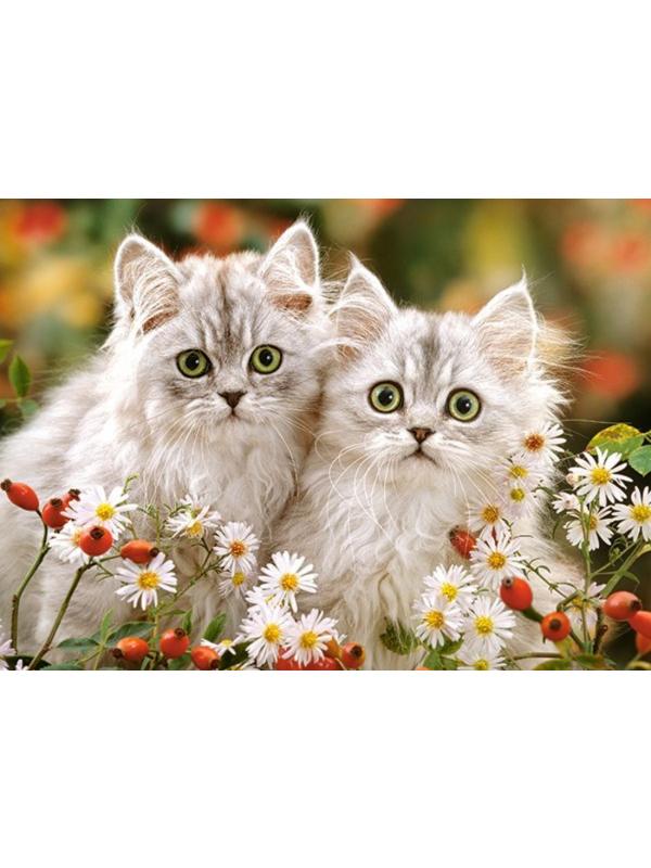 Пазлы 200 Premium Персидские котята