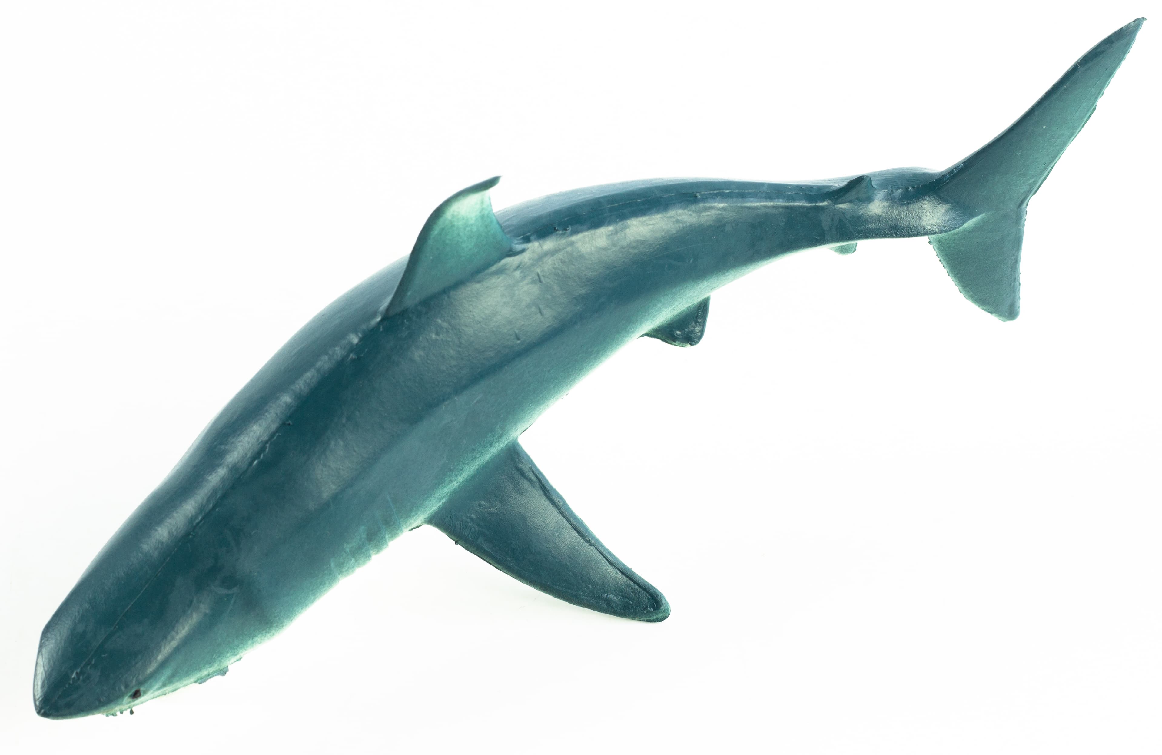 Резиновые фигурки-пищалки «Дельфин, Косатка и Акула» 18 см. Н9501W / 3 шт.