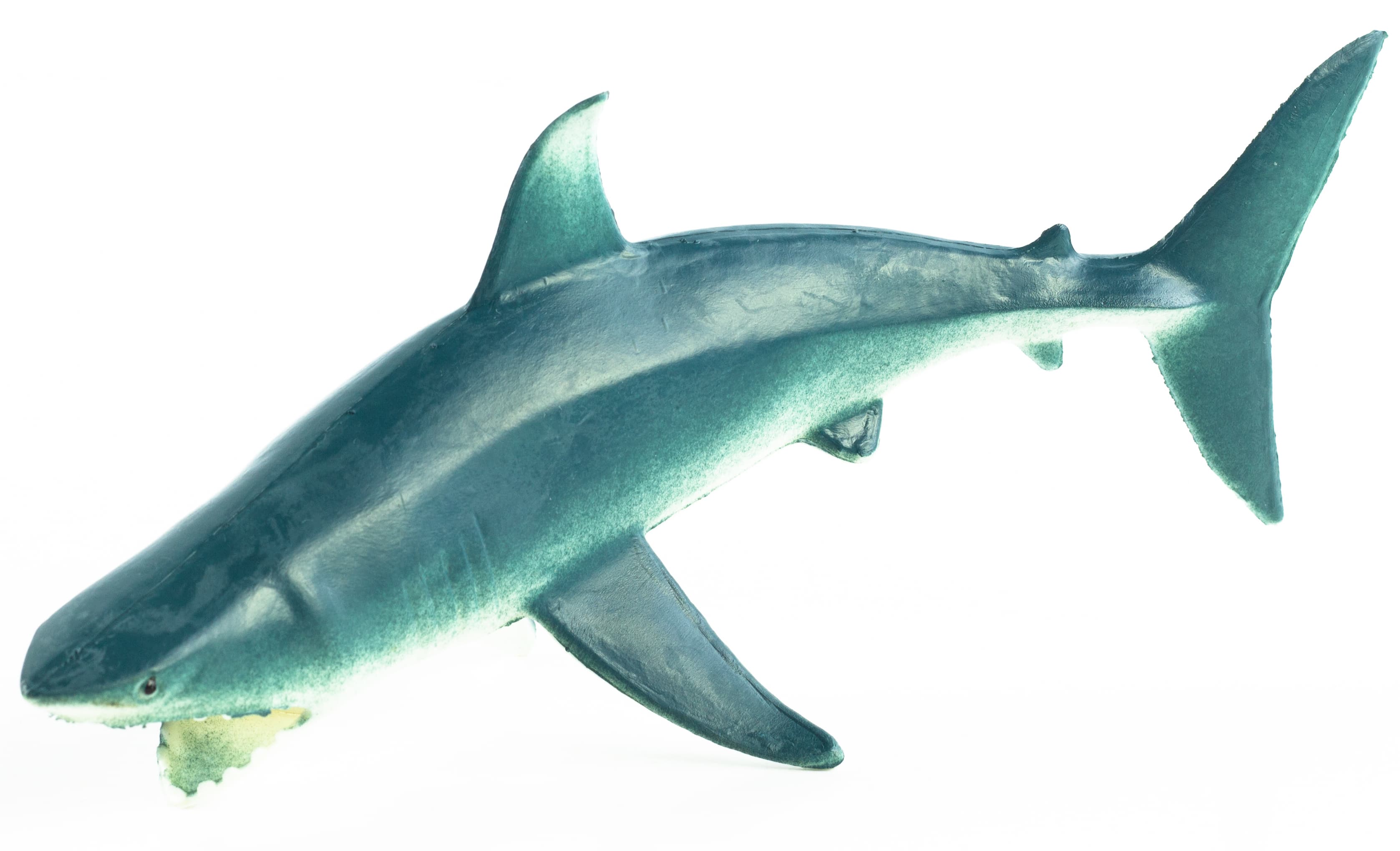 Резиновые фигурки-пищалки «Дельфин, Косатка и Акула» 18 см. Н9501W / 3 шт.