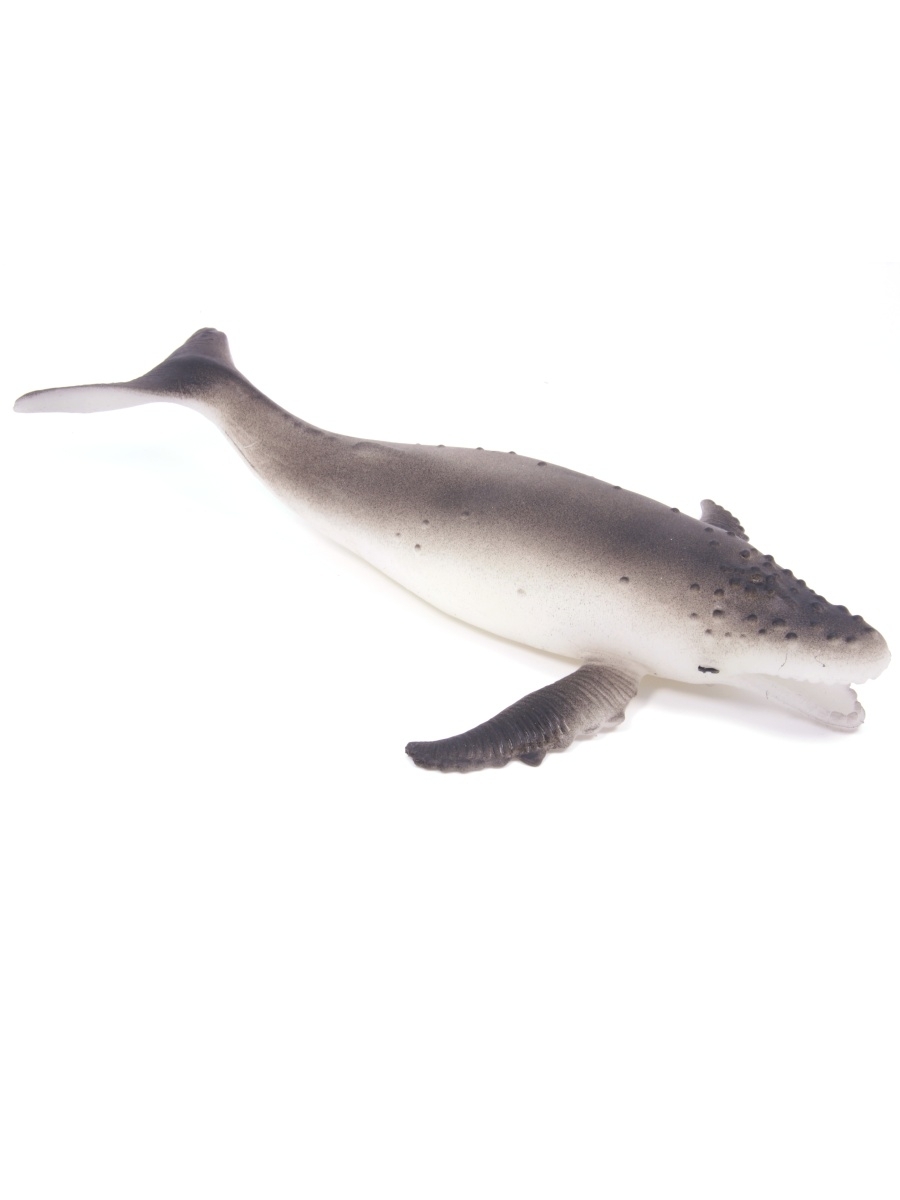 Игрушки резиновые фигурки-тянучки «Морские обитатели» A127, 20 см. Антистресс / 4 шт.