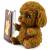 Фигурки-тянучки Животных «Собаки Мальтипу» из термопластичной резины A186-DB, 7.62 см., Антистресс / 2 шт.