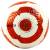 Мяч футбольный «RABISCO Английская Премьер Лига», размер 5, F33944