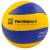 Мяч волейбольный «TerraSport», F33977, 5 размер / Желто-синий