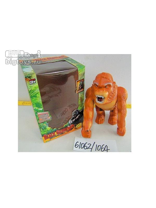 кинг конг на бат. в кор.