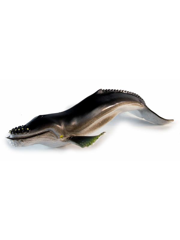 Игрушки резиновые фигурки-пищалки «Морские обитатели» 25 см. 117 / 6 шт.