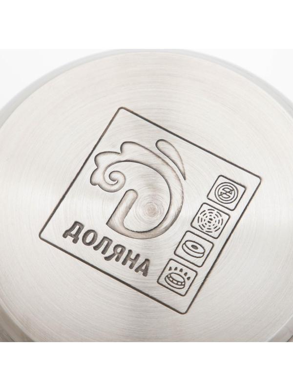 Кастрюля из нержавеющей стали Доляна «Классика», 2,2 л, d=19 см, стеклянная крышка