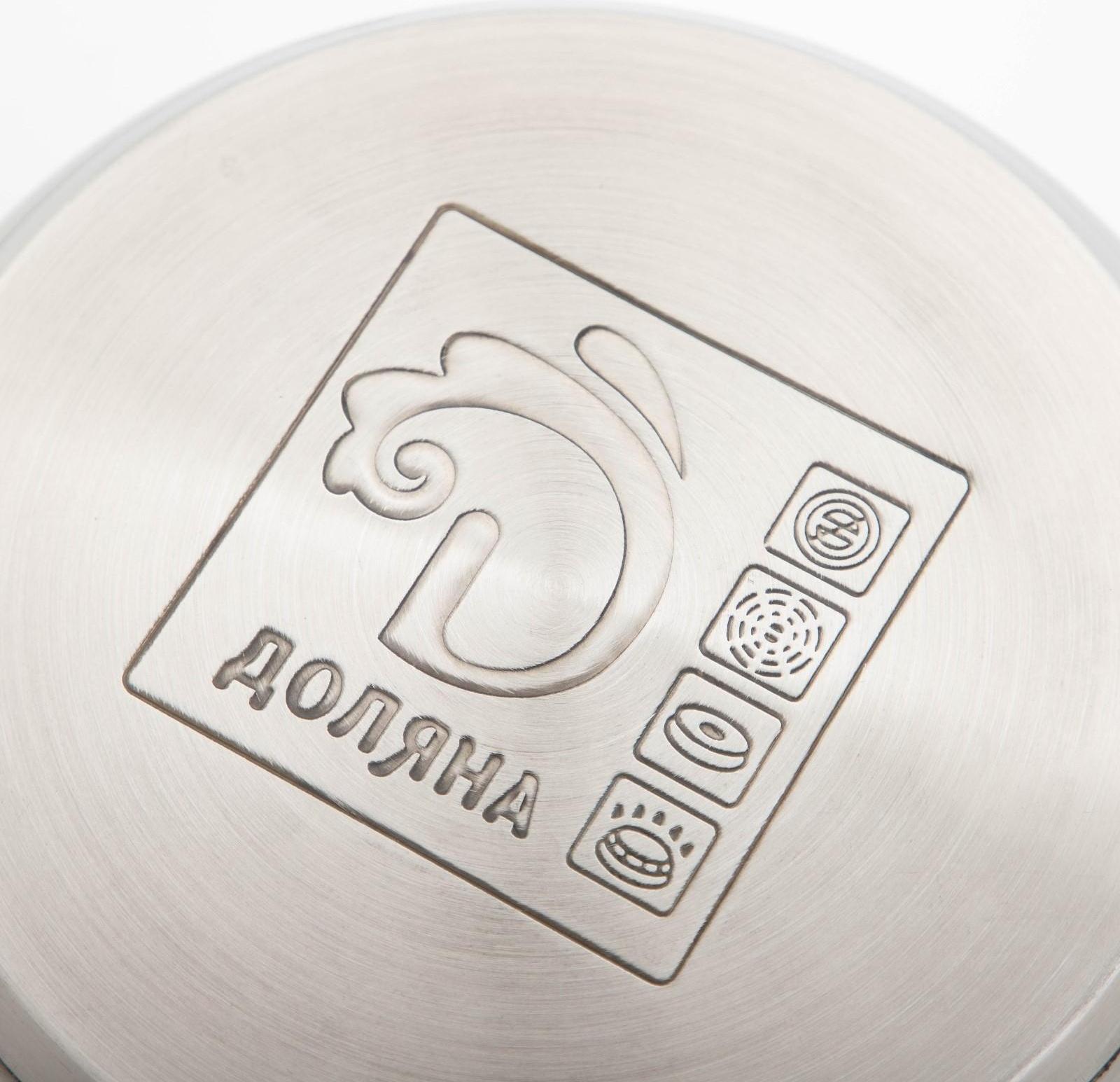 Кастрюля из нержавеющей стали Доляна «Роскошь», 2,2 л, d=19 см, стеклянная крышка