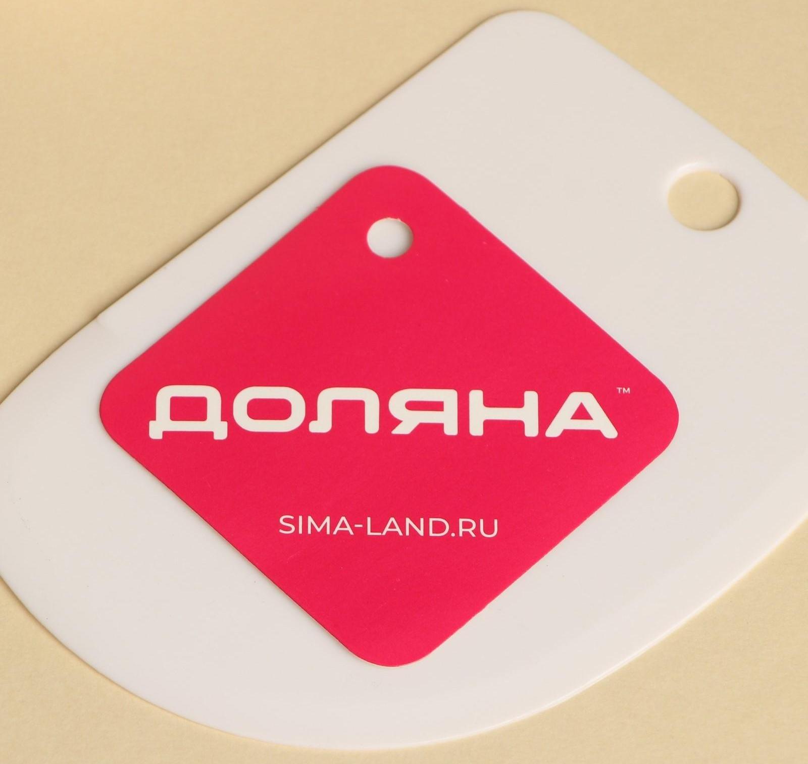 Скребок кондитерский Доляна, 12,5×8,5 см