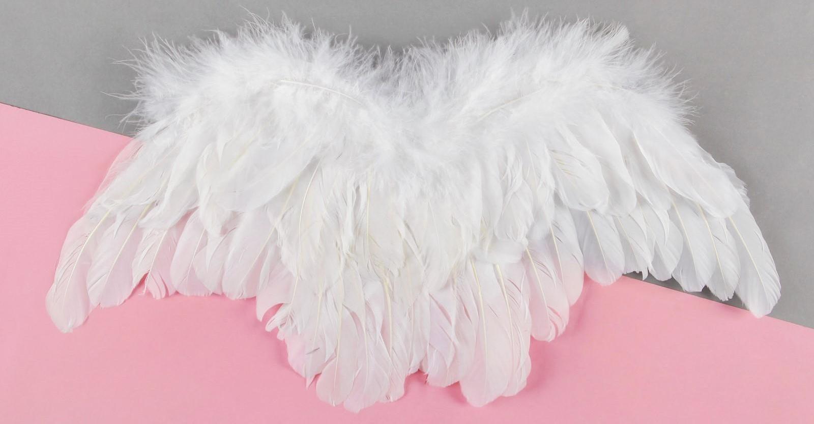 Крылья ангела, 55×3 см, цвет белый